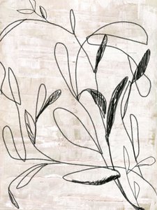 Dessin botanique au trait - Annick