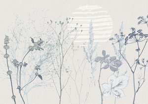 La douce lumière du soleil dans la prairie
