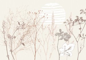 Fleur de prairie séchée