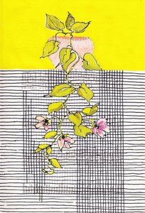 Grille géométrique de plantes grimpantes en fleurs - Annick