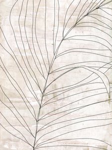 Lignes botaniques minimalistes - Annick
