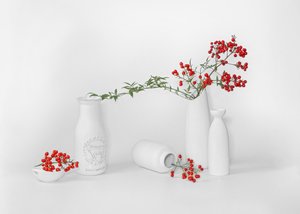 Présentation minimaliste de baies rouges - Annie Poreider