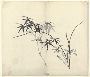 Bambou et Orchidées - Anonymous