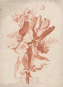 Fleurs (4e Cahier de Fleurs)