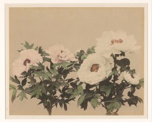Nature morte de fleurs avec pivoines - Anonymous
