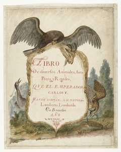Cartouche tenu par un aigle de pierre, héron et butor 
Lombard album (titre de la série)