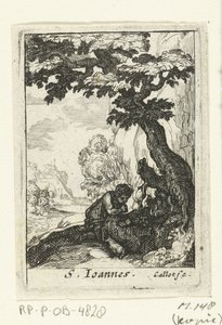 Saint Jean-Baptiste pénitent - Anonymous