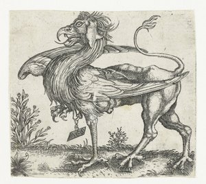 Le griffon - Anonymous