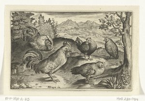 Trois poules et deux coqs - Anonymous