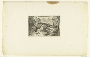 Trois poules et deux coqs - Anonymous