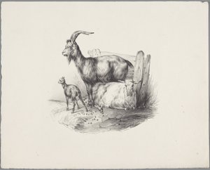 Une chèvre, un bouc et un agneau