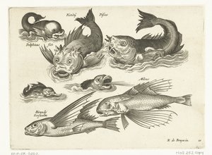 Animaux aquatiques fantastiques, y compris dauphin et poisson-pieuvre - Anonymous