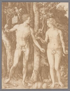 Reproduction photographique de la gravure Adam et Ève par Albrecht Dürer