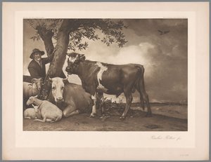 Reproduction photographique de la peinture Le Taureau par Paulus Potter, coll. Mauritshuis - Anonymous