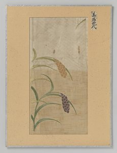 Fragment de textile