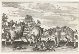 Chèvre et cochons - Anonymous