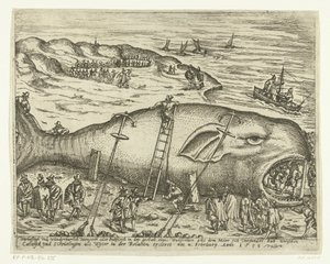 Baleine échouée près de Berckhey, 1598