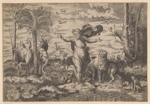 Dieu crée les animaux sur la terre