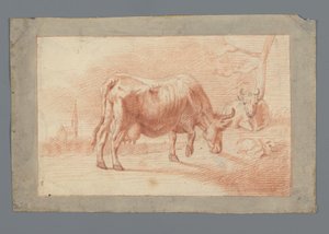 Vache broutant et couchée - Anonymous