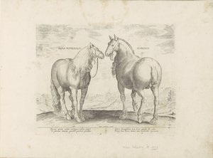 Étalon et jument de Rome - Anonymous