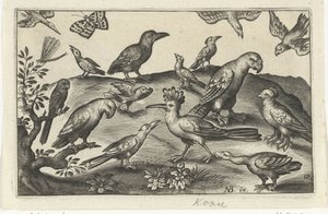 Houblon et autres oiseaux Oiseaux et insectes (titre de la série)