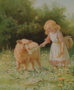 Dans le pré
