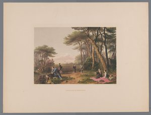 Chercheurs de champignons - Anonymous
