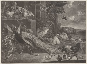Paysage avec oiseaux