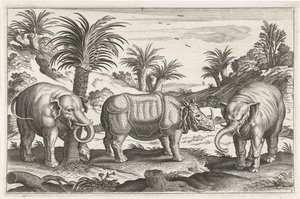 Éléphants et rhinocéros (Animaux quadrupèdes)