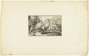 Cigogne entre deux autres oiseaux