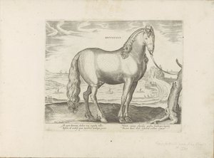 Cheval de Bretagne