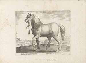 Cheval de Juliers