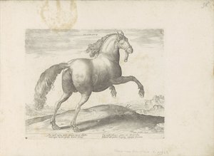 Cheval d