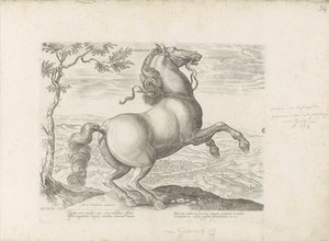 Cheval de Toscane - Anonymous