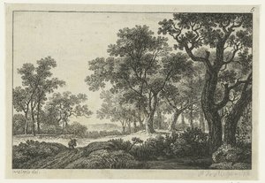 Sentier à travers la forêt - Anonymous