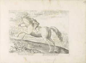 Cheval de course avec cavalier - Anonymous