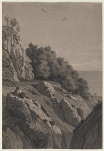 Falaise Rocheuse sur une Côte