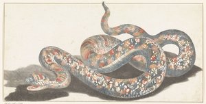 Serpent