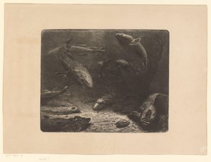 Brochet, raie, plie, crabe, anguille et autres poissons