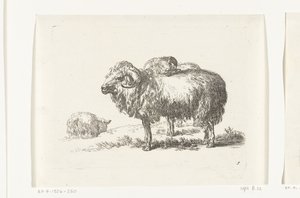 Deux boucs et un mouton couché