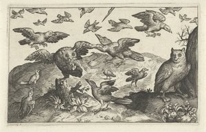 Hibou avec proie attaqué par d