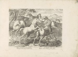 Chevaux combattants avec un cheval piétiné