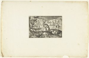 Cinq oiseaux
