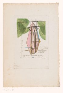 Machine volante de M. Blanchard (Coupe de trois quarts)