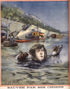 Une femme tombe dans la Seine et est sauvée par ses chiens à Paris. Gravure dans « Le petit parisien » du 14/08/1910. Collection privée. - Anonymous Anonymous