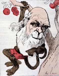 Caricature de Charles Robert Darwin (1809 - 1882) dans "La Lune"