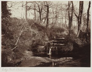 Edge Park, Cheshire, c.1865 - Anonymous Anonymous