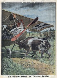 Première Guerre mondiale 1914-1918. Une vache en Russie empêche un avion de l