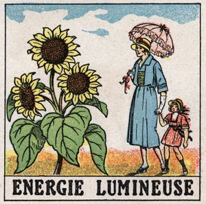 Énergie lumineuse : le tournesol est influencé par la lumière du soleil. Illustration anonyme de 1925. Collection privée.