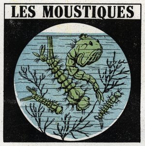 Projection de lumière : utilisation d